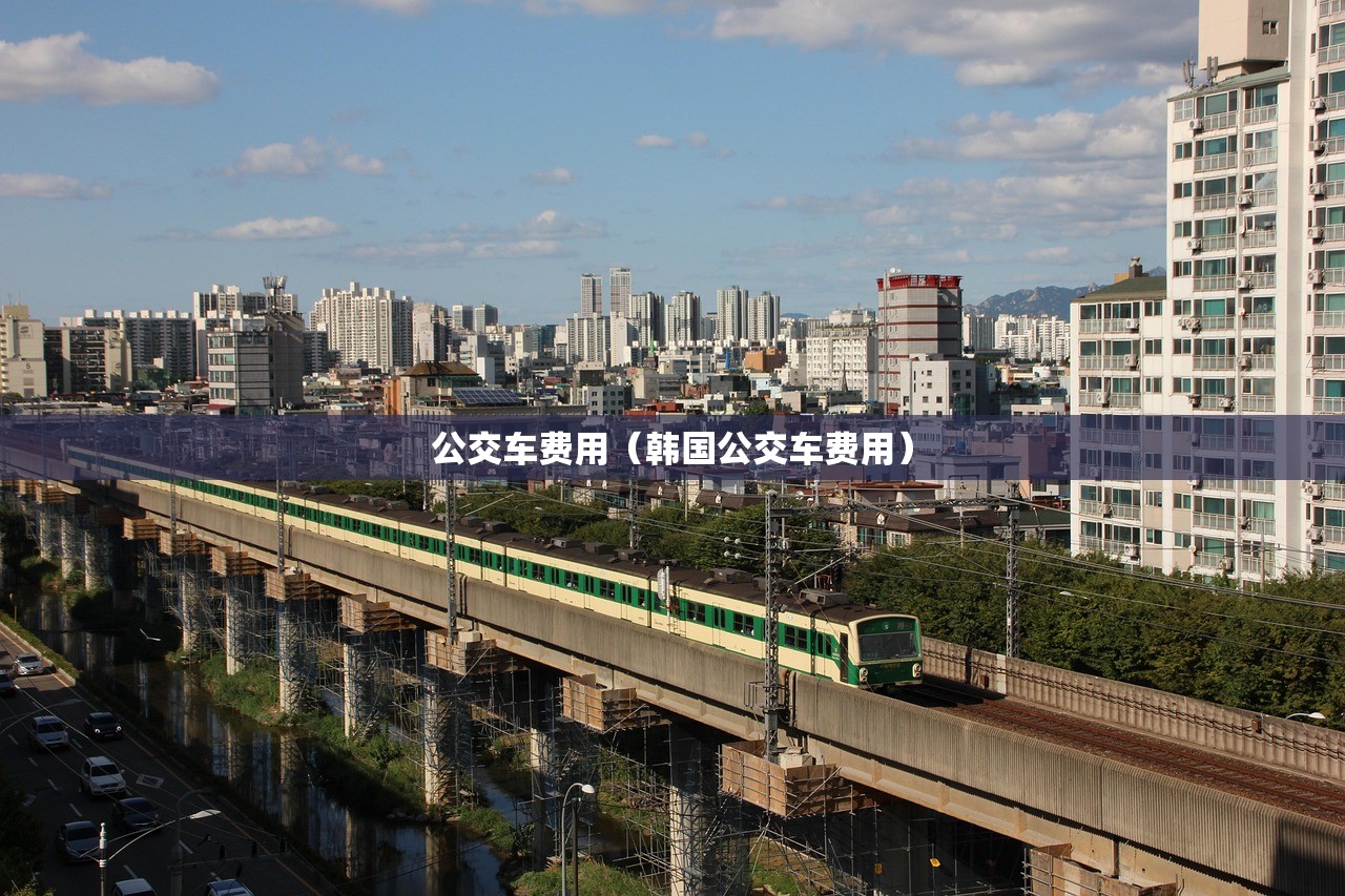 公交车费用(韩国公交车费用) 公交车费用(韩国公交车费用)