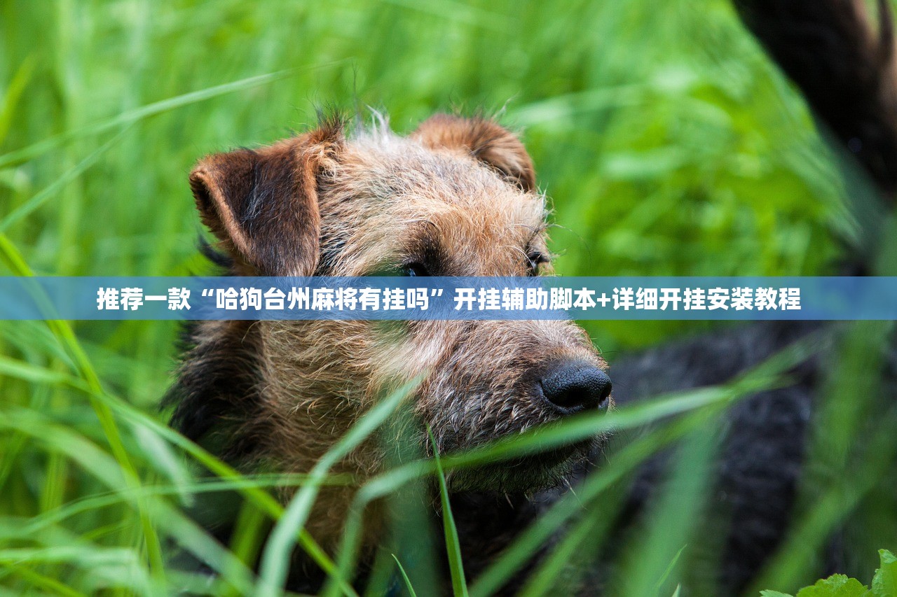 推荐一款“哈狗台州麻将有挂吗”开挂辅助脚本+详细开挂安装教程