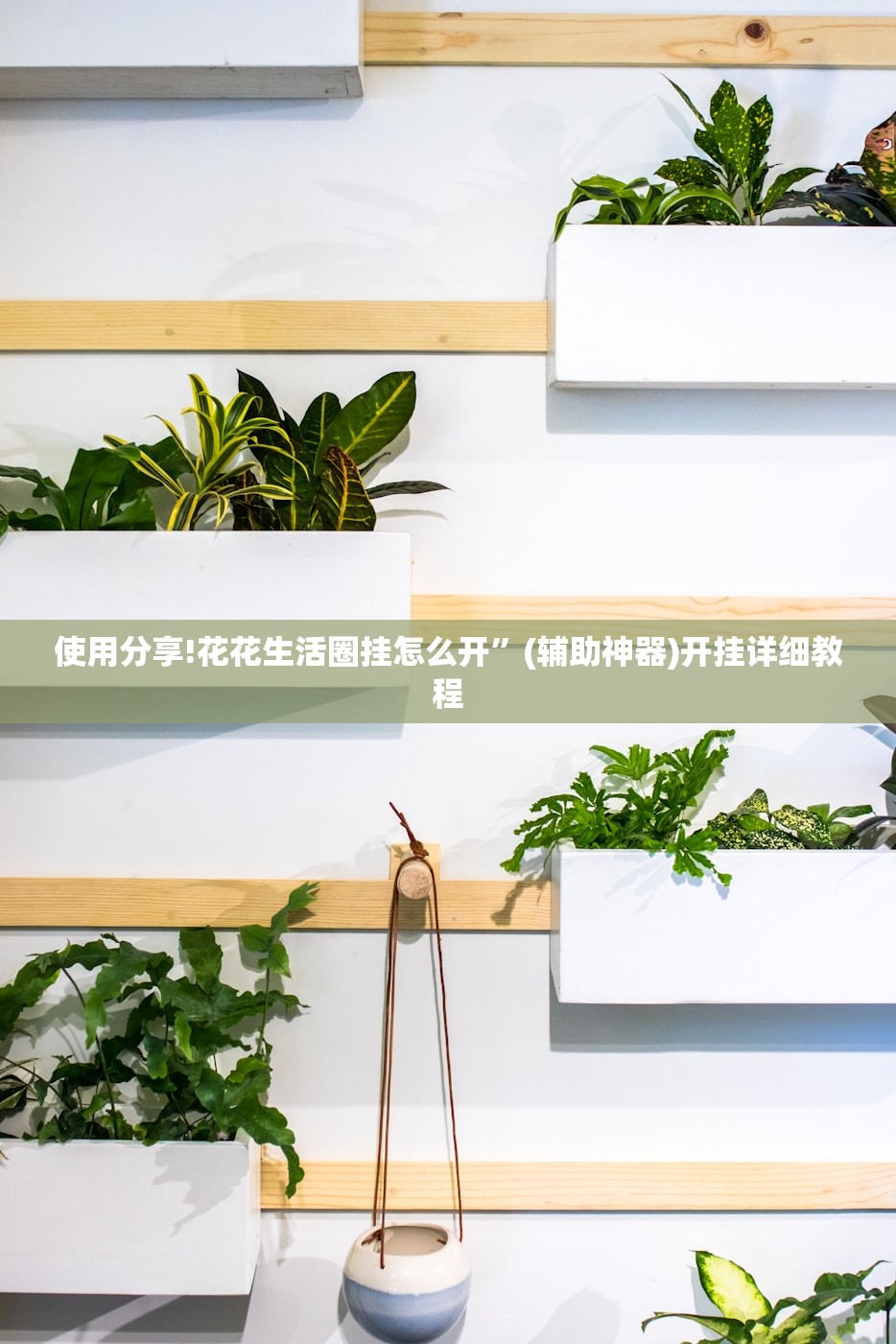 使用分享!花花生活圈挂怎么开”(辅助神器)开挂详细教程