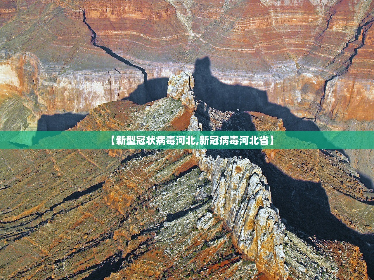 【新型冠状病毒河北,新冠病毒河北省】