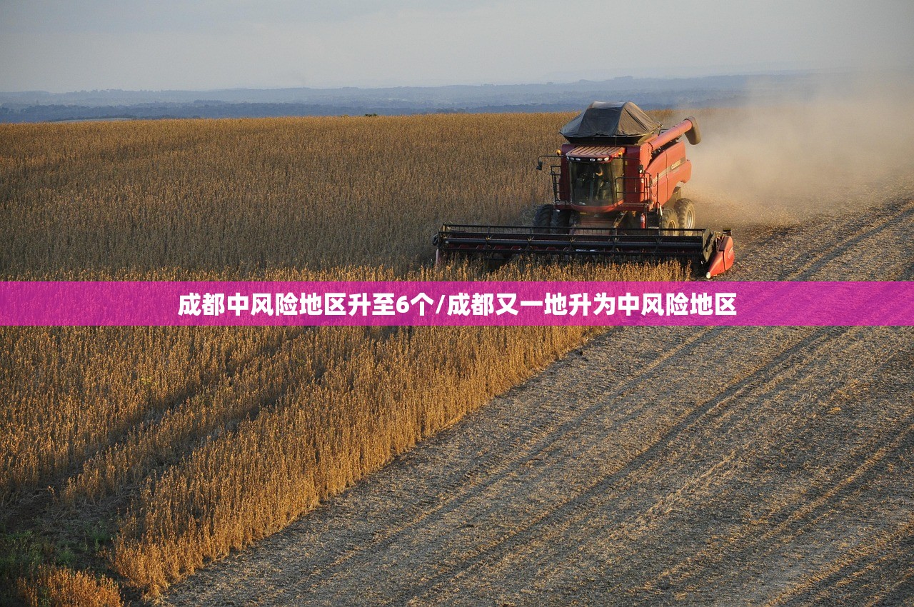 成都中风险地区升至6个/成都又一地升为中风险地区