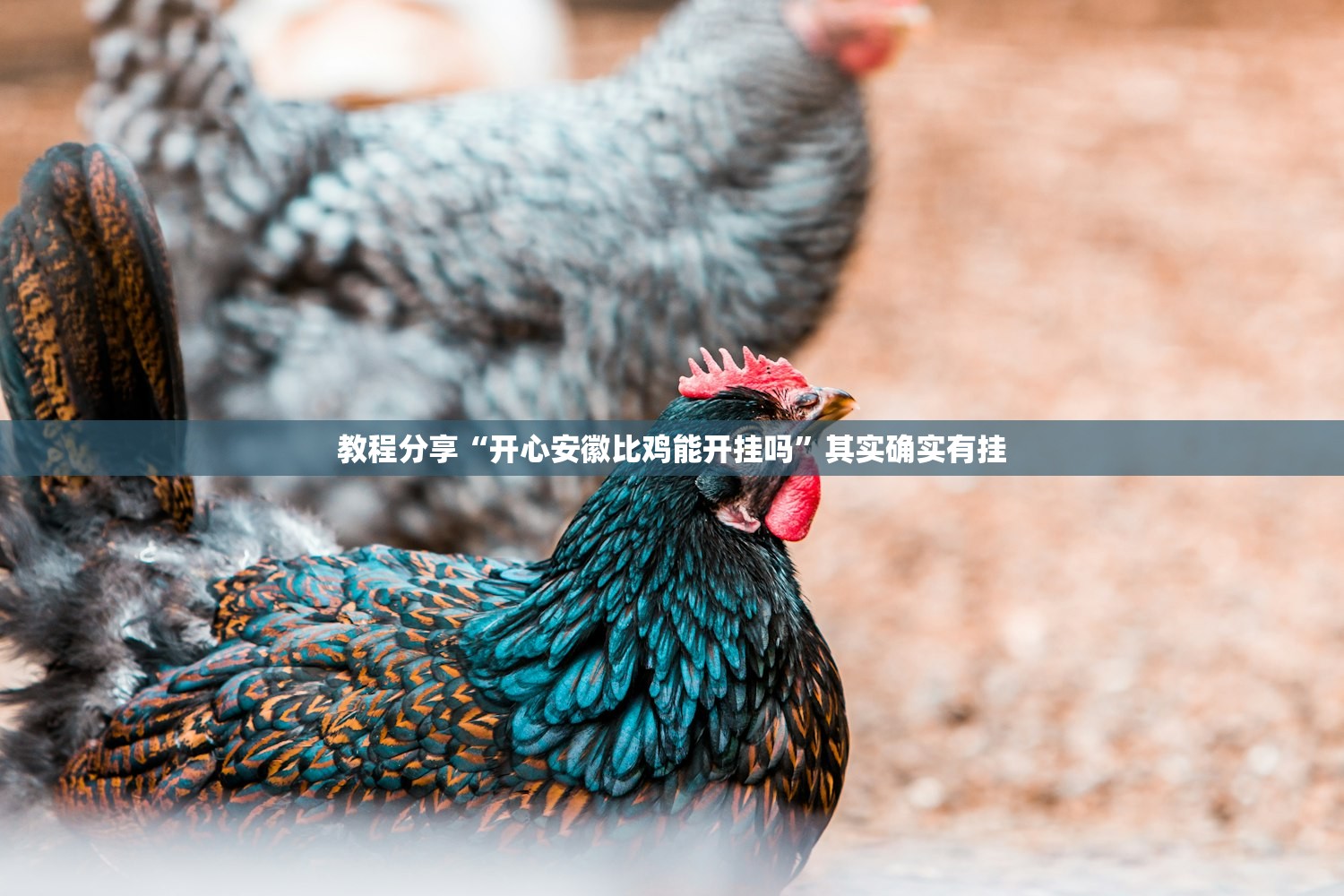 教程辅助!微乐四川麻将外卦神器下载微信小程序”开挂(透视)辅助教程