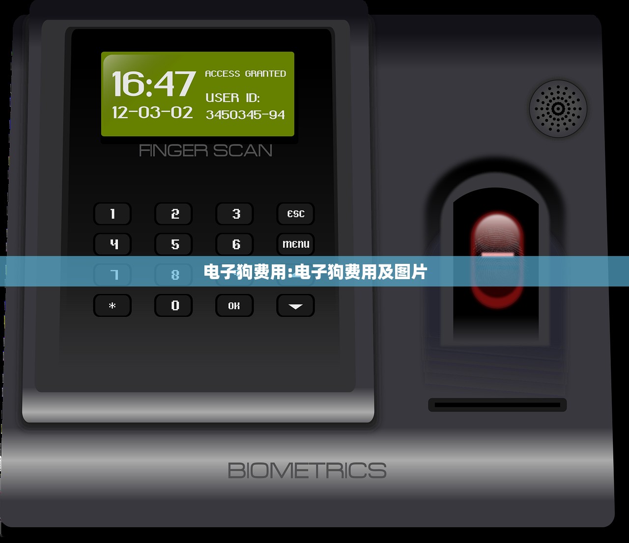 电子狗费用:电子狗费用及图片
