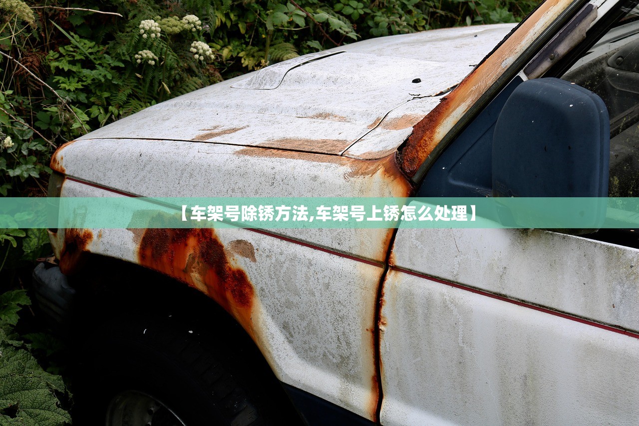 【车架号除锈方法,车架号上锈怎么处理】
