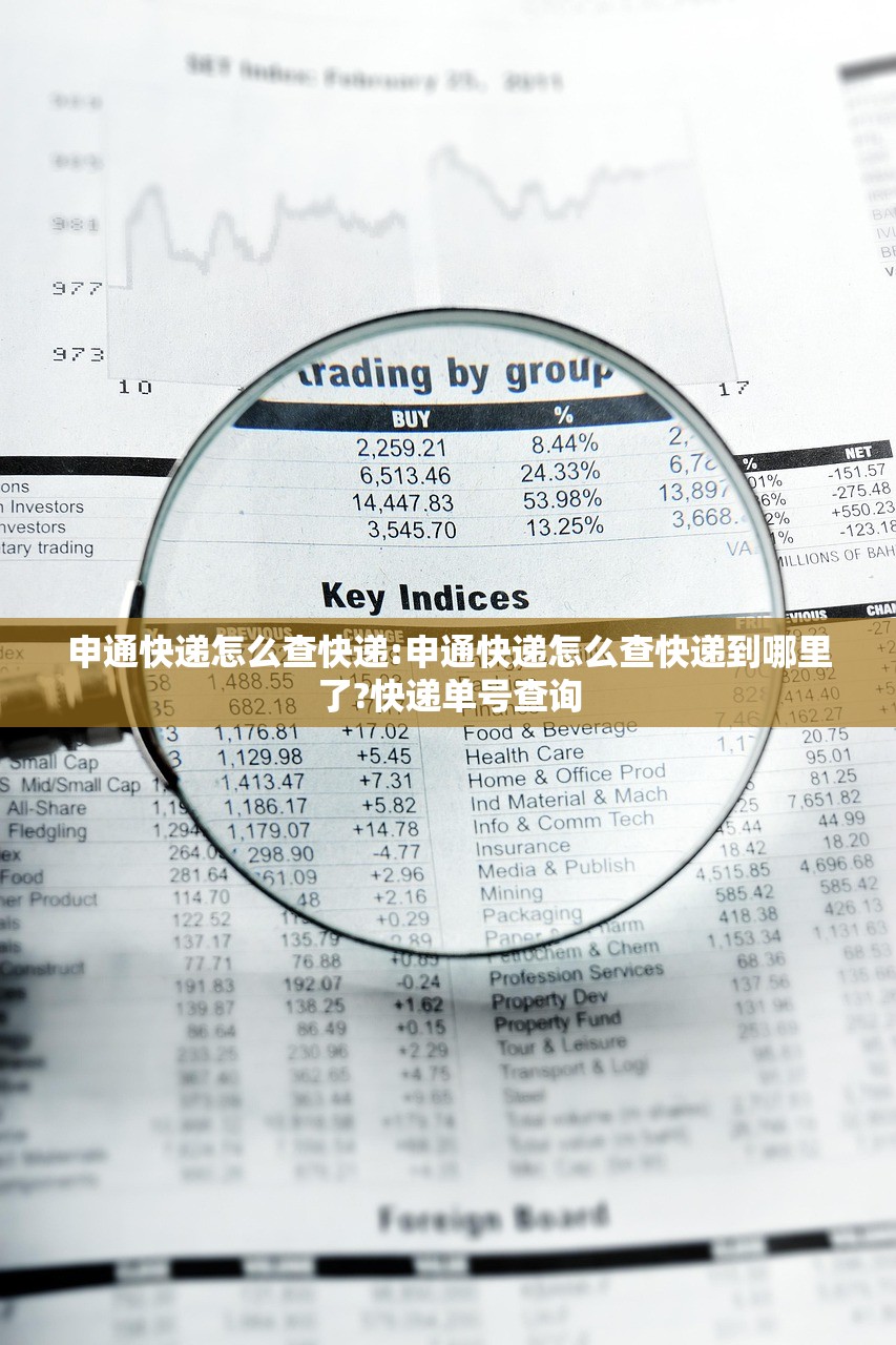 申通快递怎么查快递:申通快递怎么查快递到哪里了?快递单号查询
