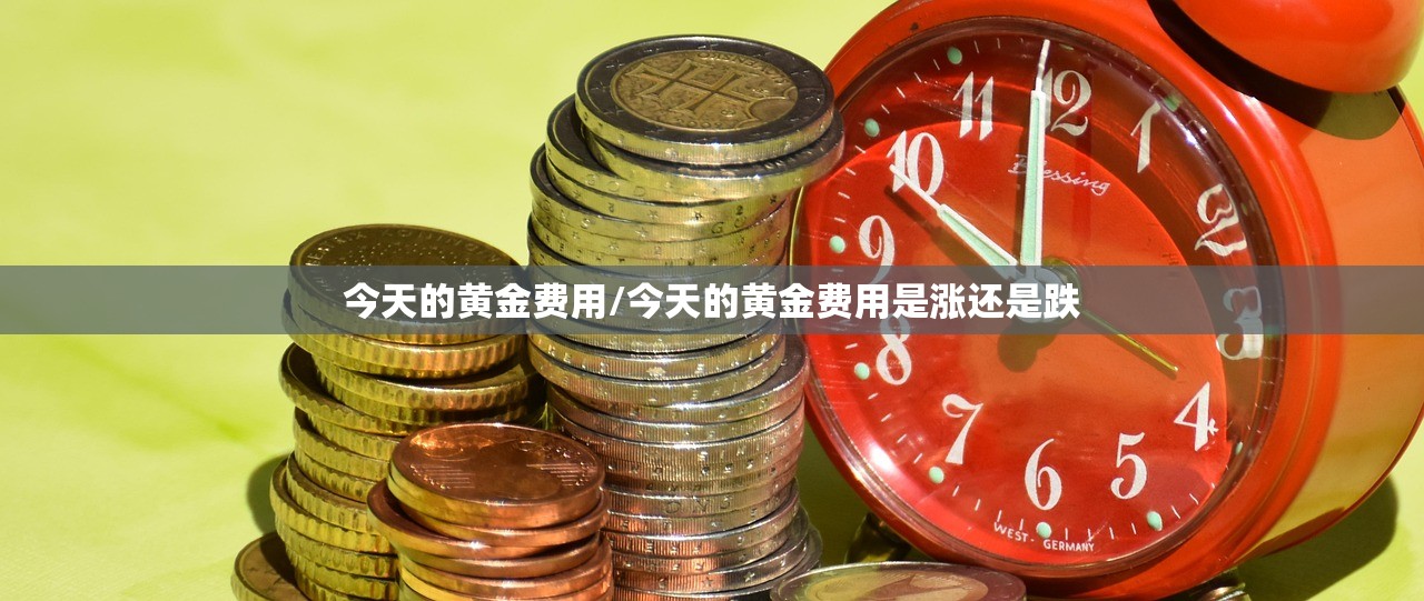 今天的黄金费用/今天的黄金费用是涨还是跌