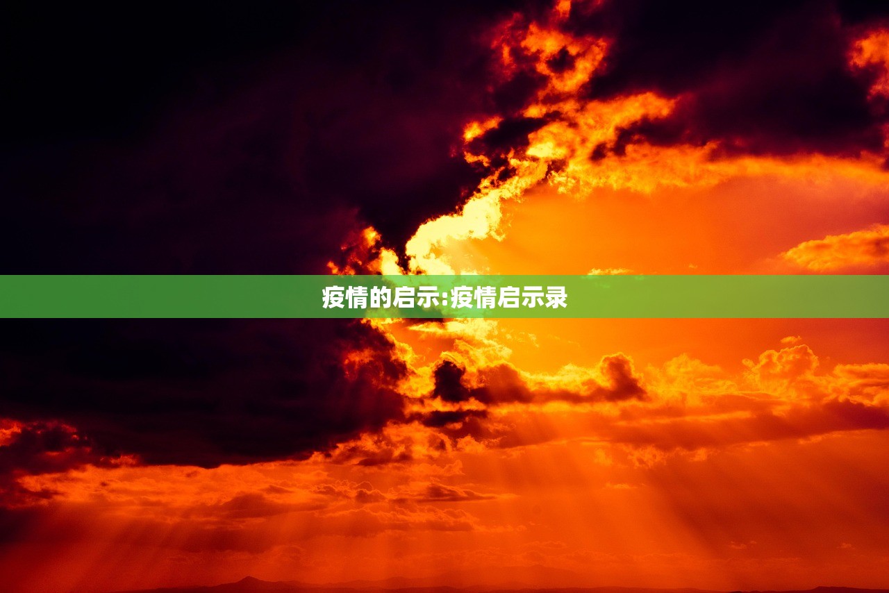 疫情的启示:疫情启示录