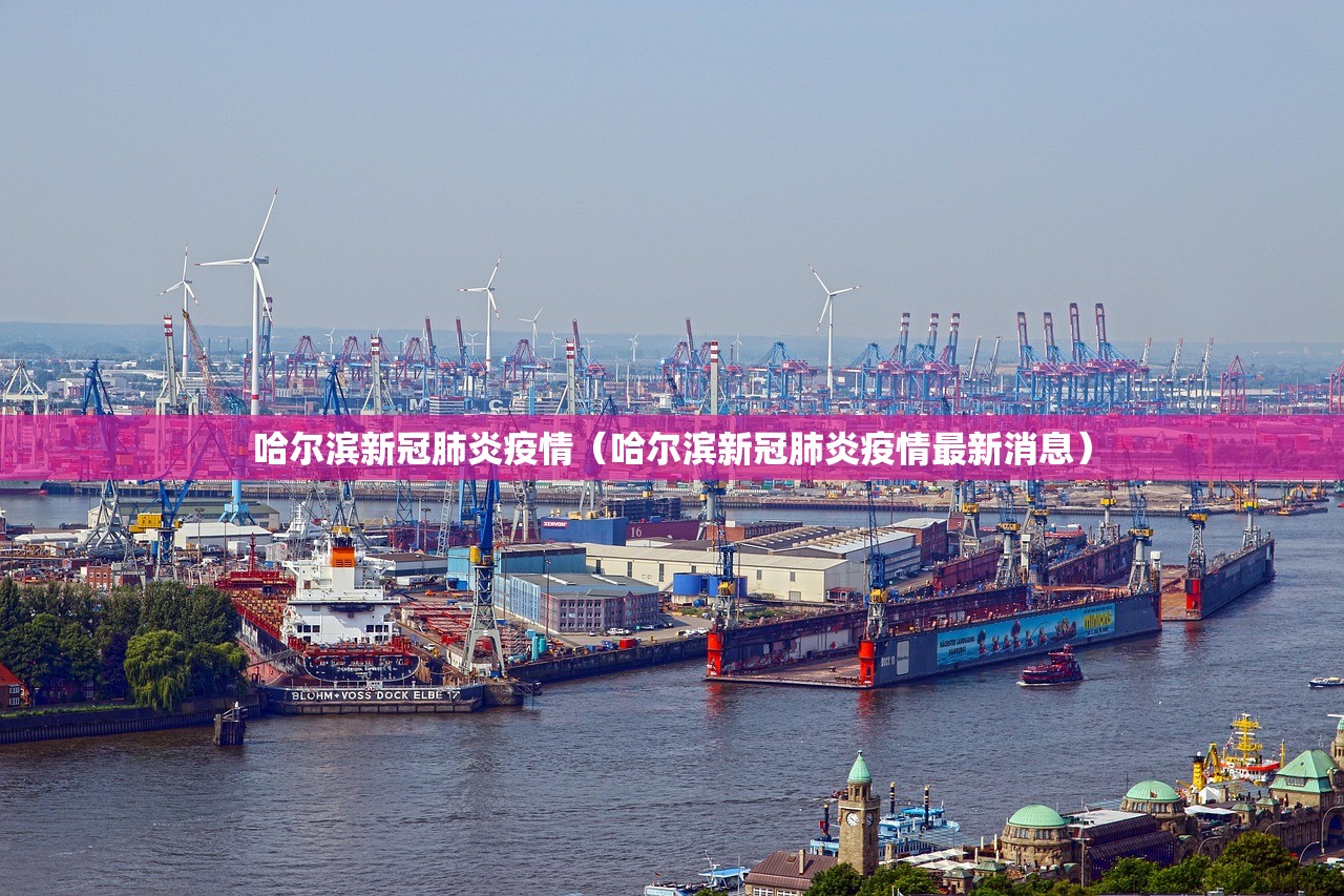 哈尔滨新冠肺炎疫情（哈尔滨新冠肺炎疫情最新消息）