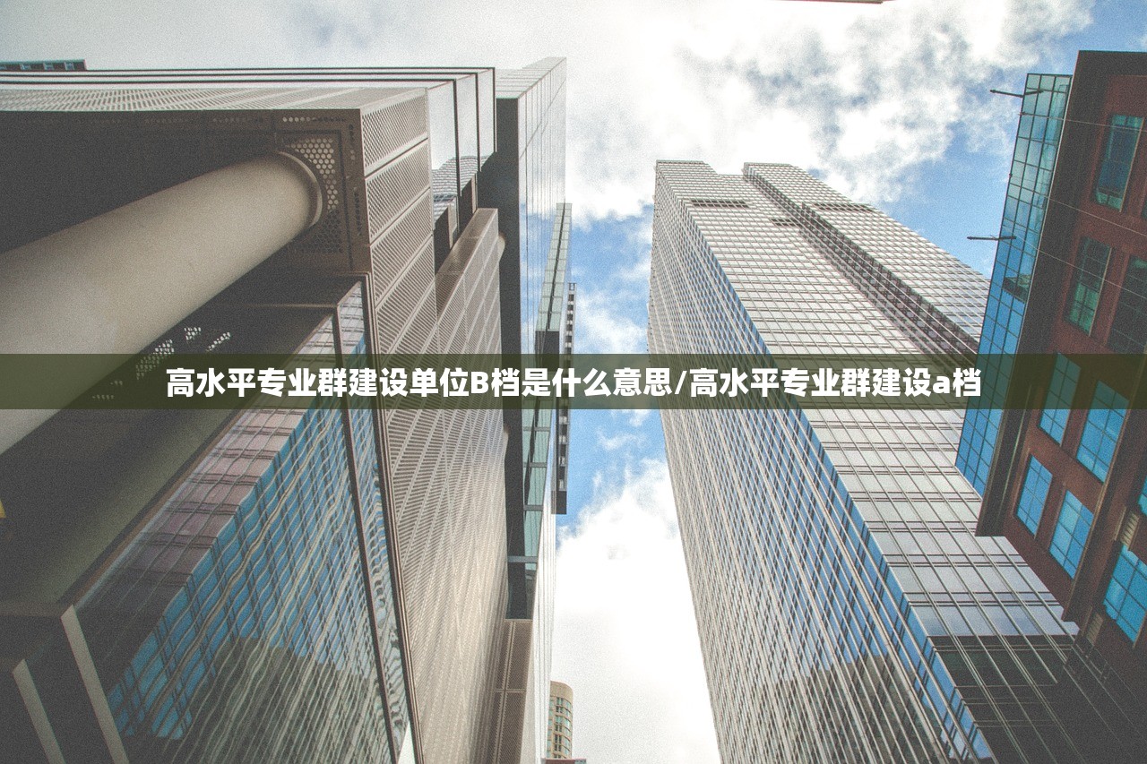 高水平专业群建设单位B档是什么意思/高水平专业群建设a档