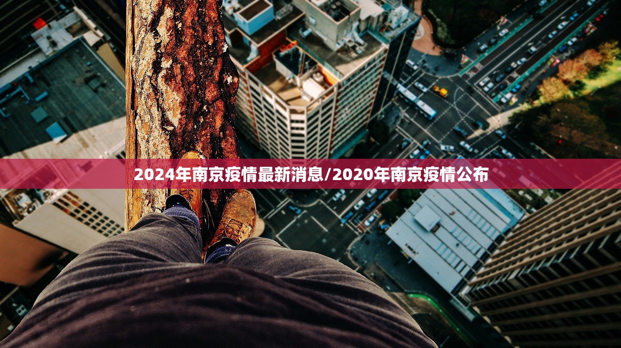 2024年南京疫情最新消息/2020年南京疫情公布