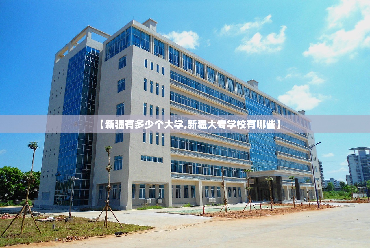 【新疆有多少个大学,新疆大专学校有哪些】