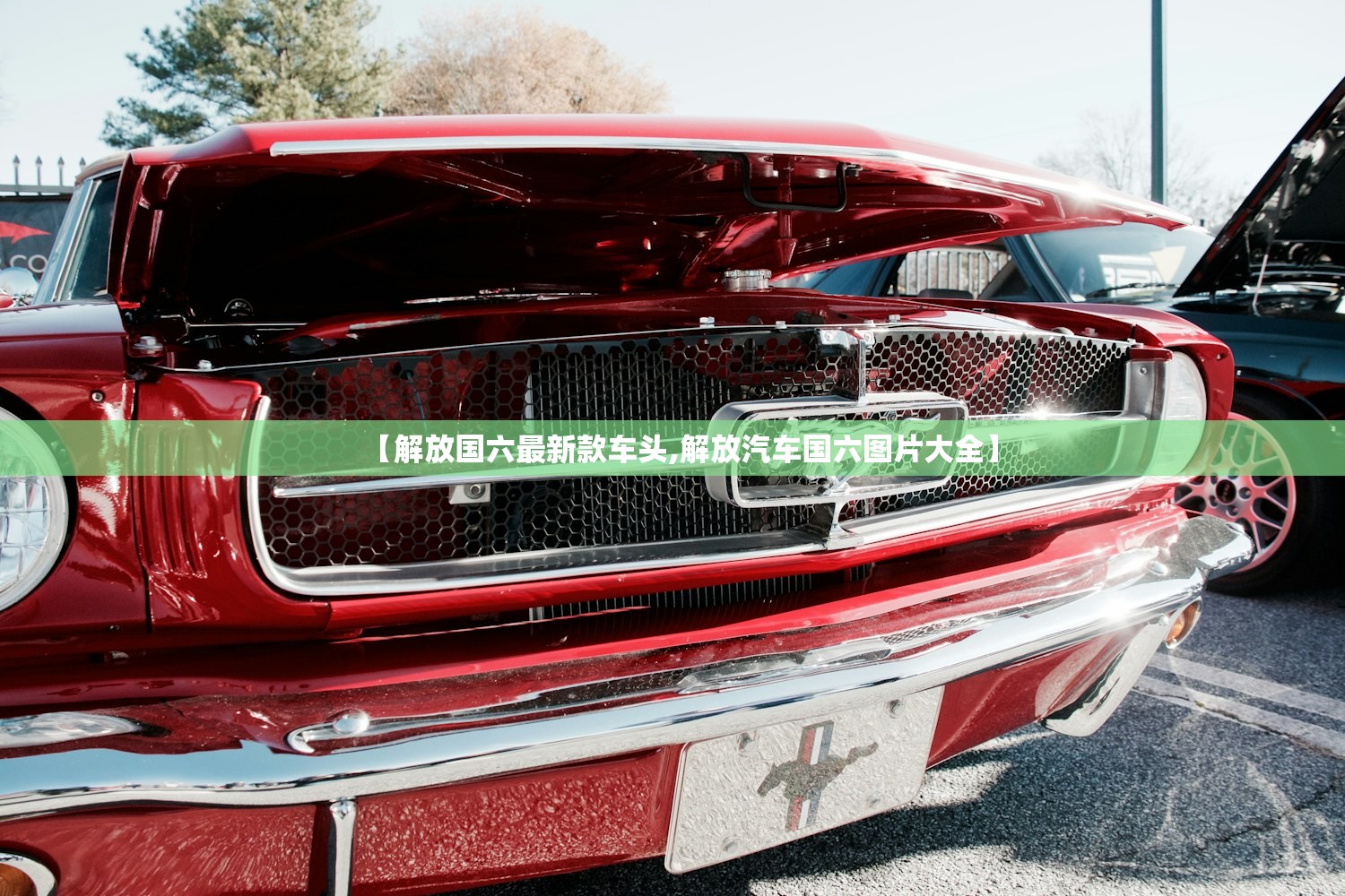 【解放国六最新款车头,解放汽车国六图片大全】