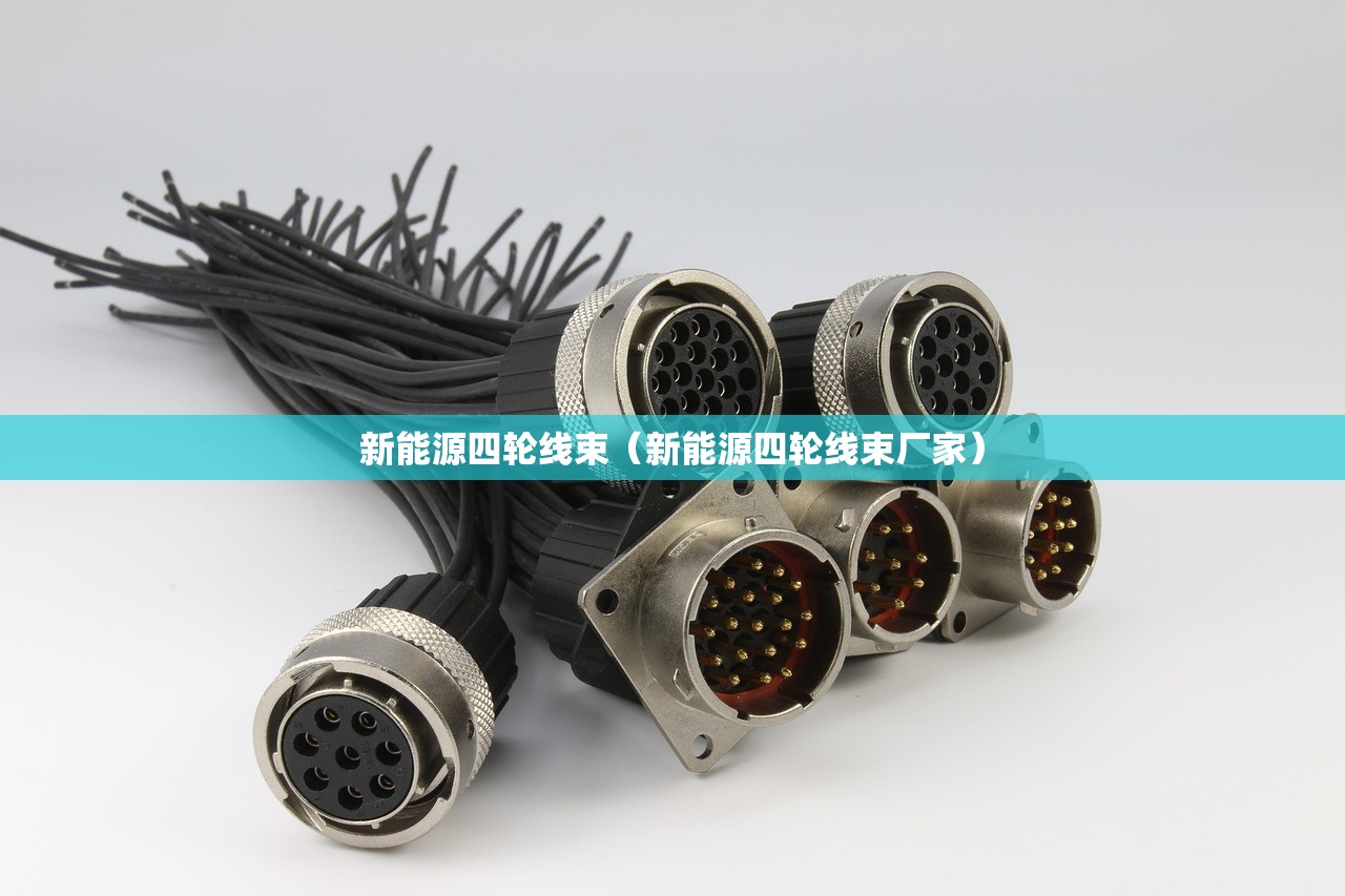 新能源四轮线束（新能源四轮线束厂家）