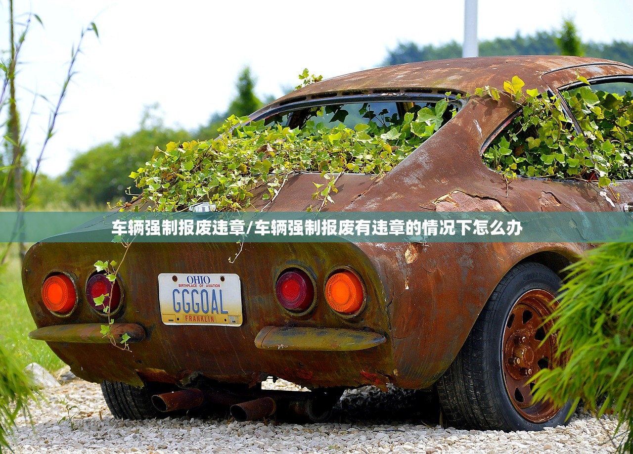 车辆强制报废违章/车辆强制报废有违章的情况下怎么办
