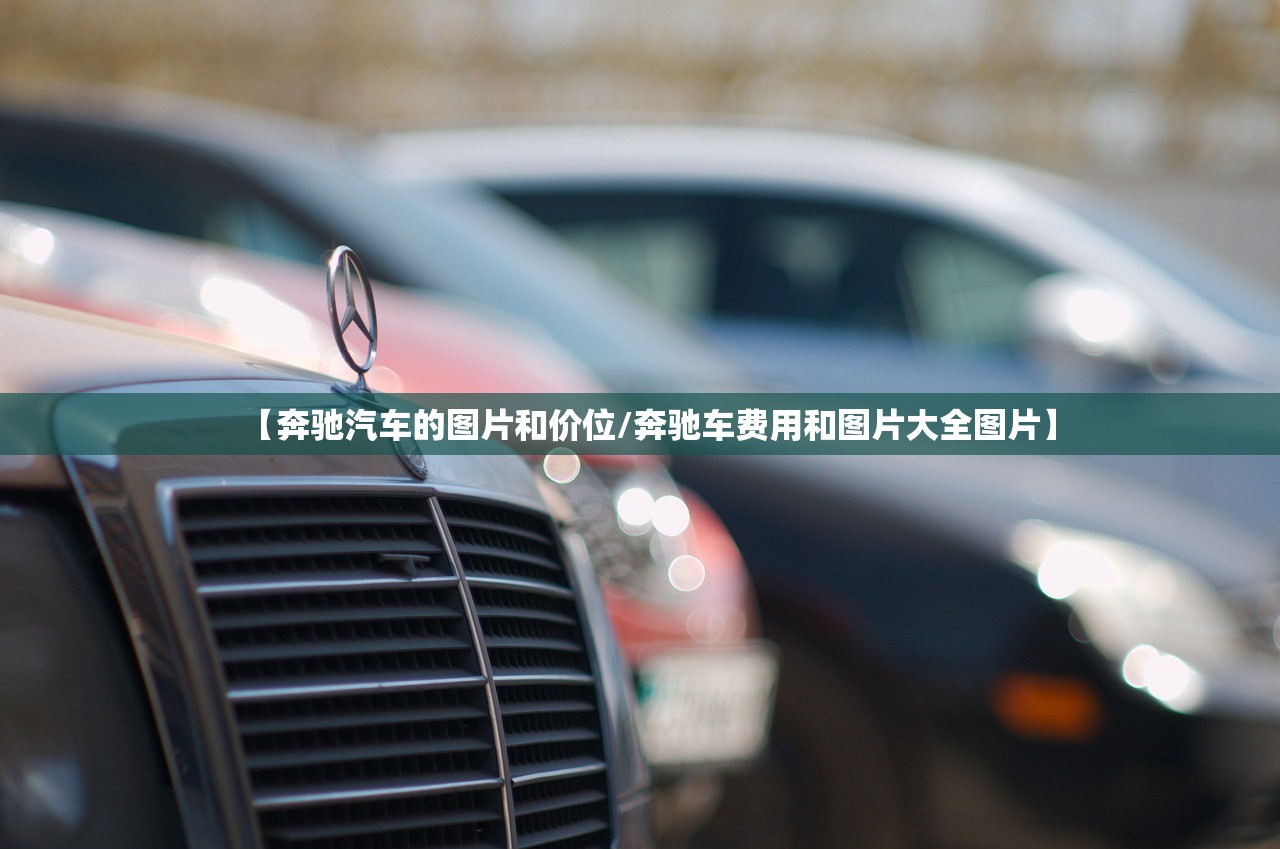 【奔驰汽车的图片和价位/奔驰车费用和图片大全图片】