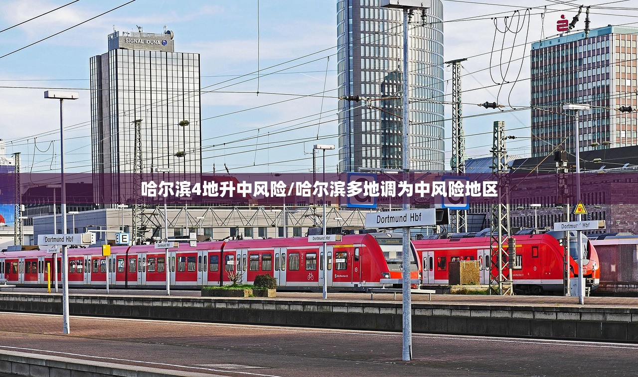 哈尔滨4地升中风险/哈尔滨多地调为中风险地区 哈尔滨4地升中风险/哈尔滨多地调为中风险地区