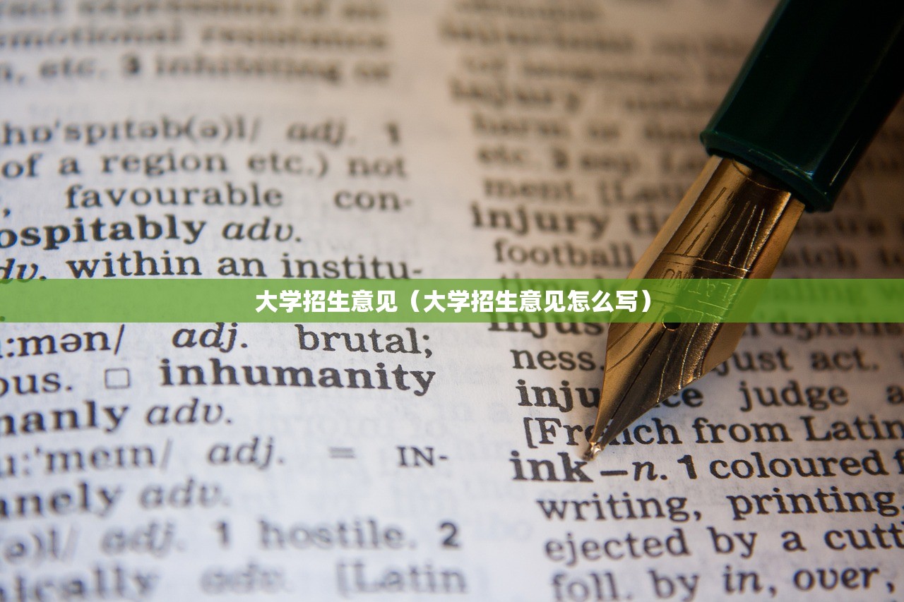 大学招生意见（大学招生意见怎么写）