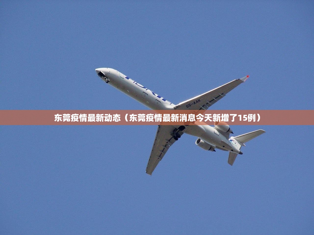 东莞疫情最新动态（东莞疫情最新消息今天新增了15例）
