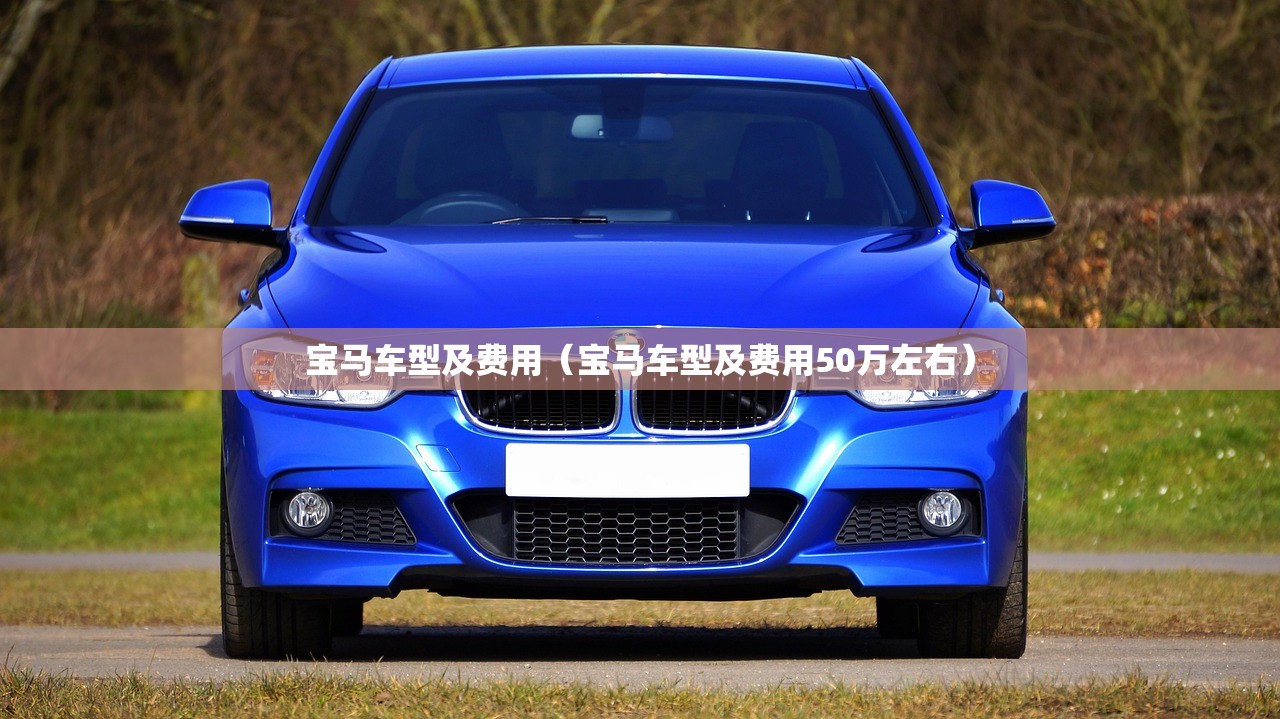 宝马车型及费用（宝马车型及费用50万左右）