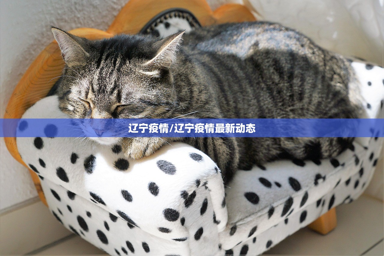 辽宁疫情/辽宁疫情最新动态