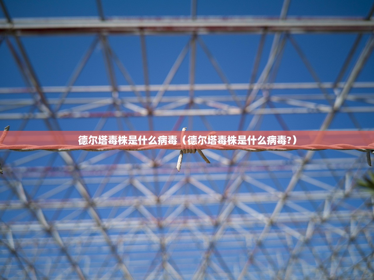 【广州油价/广州油价多少】