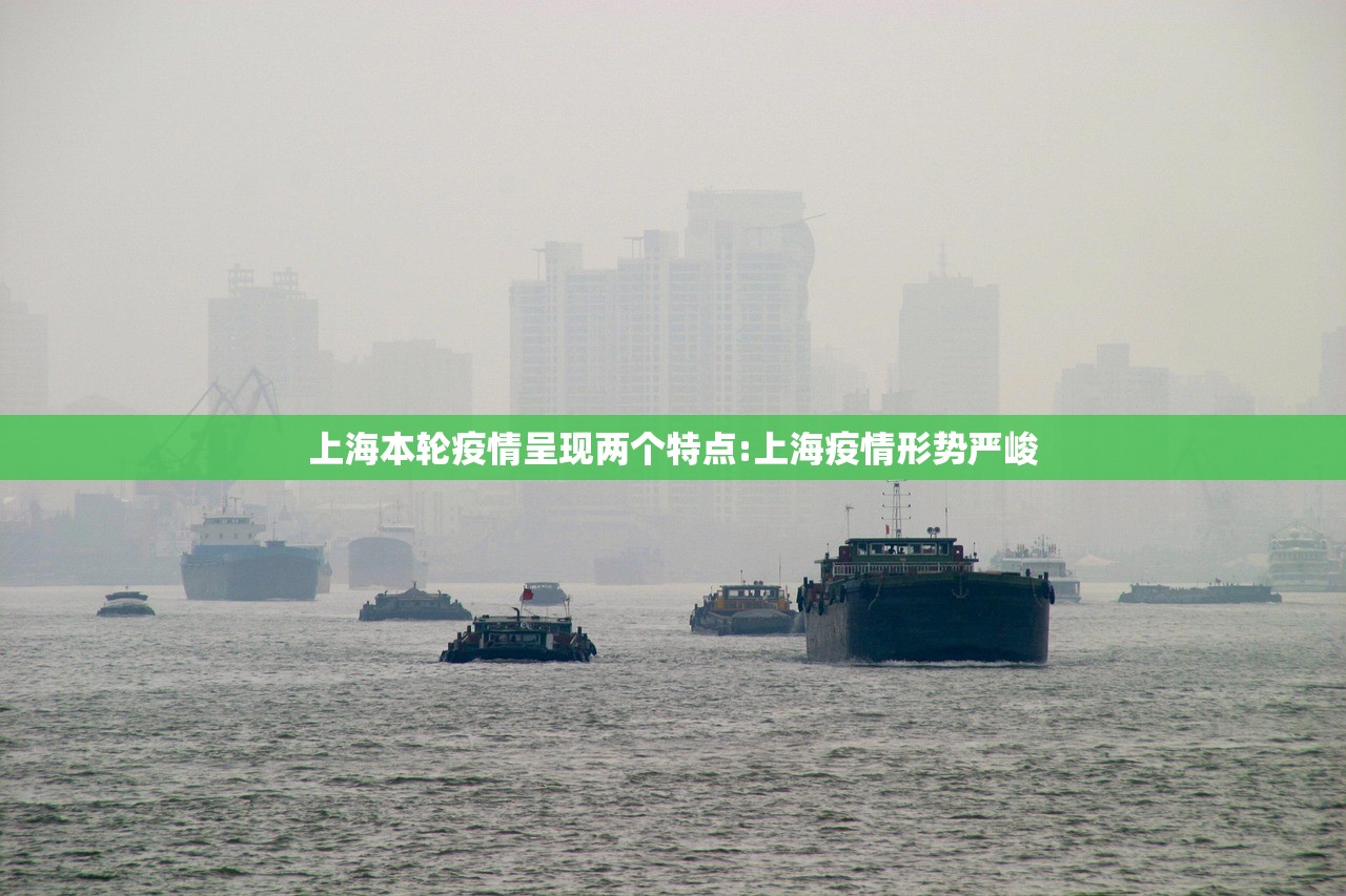 上海本轮疫情呈现两个特点:上海疫情形势严峻 上海本轮疫情呈现两个特点:上海疫情形势严峻