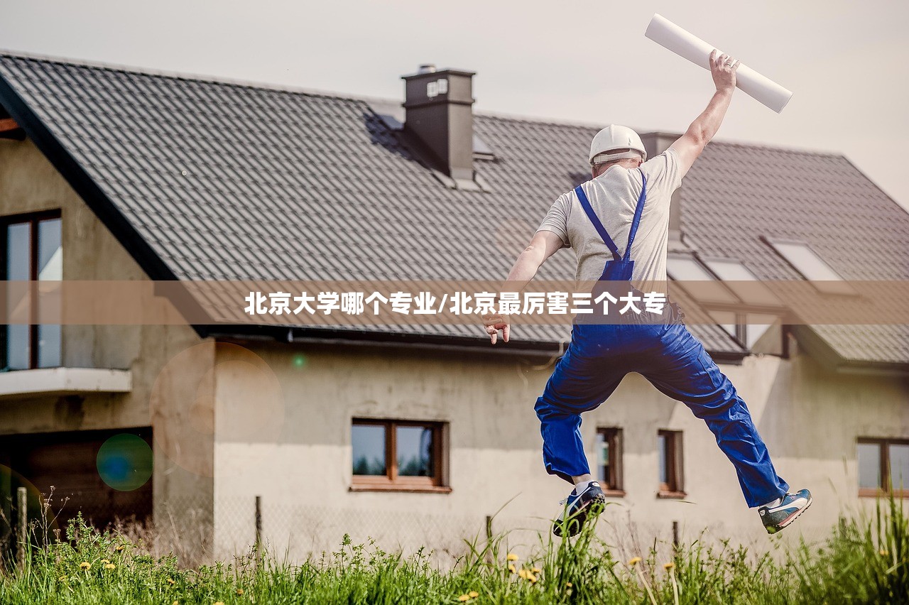 北京大学哪个专业/北京最厉害三个大专 北京大学哪个专业/北京最厉害三个大专