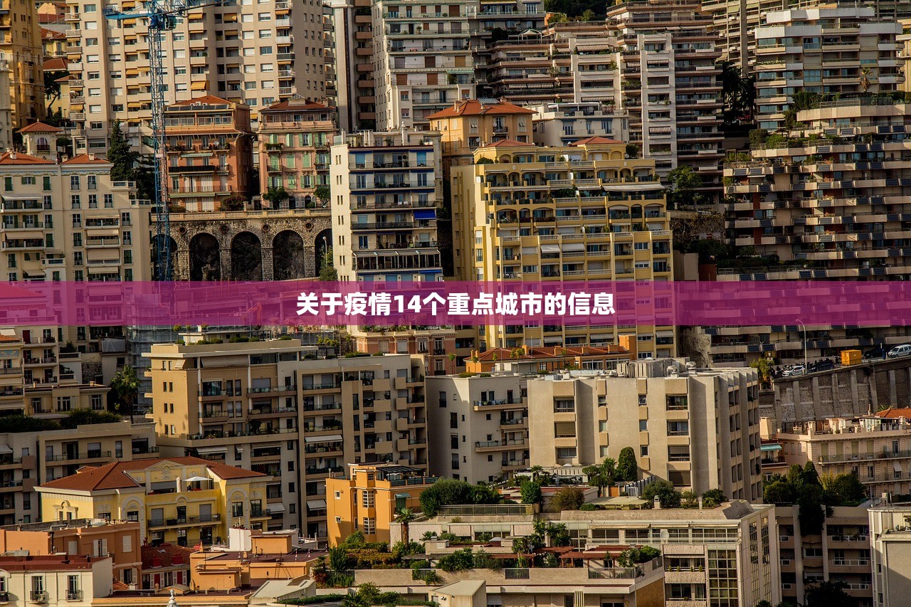 关于疫情14个重点城市的信息