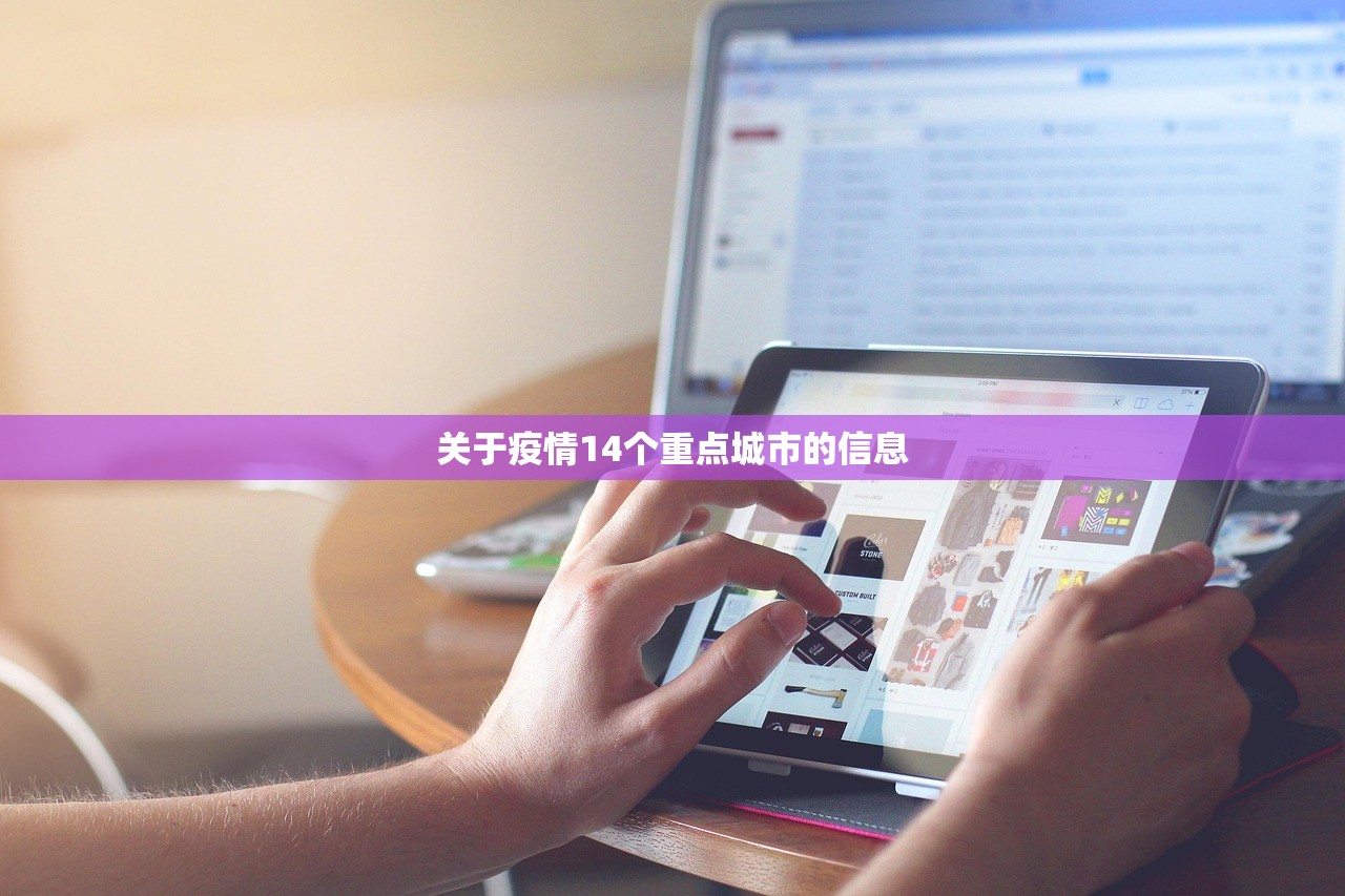 关于疫情14个重点城市的信息
