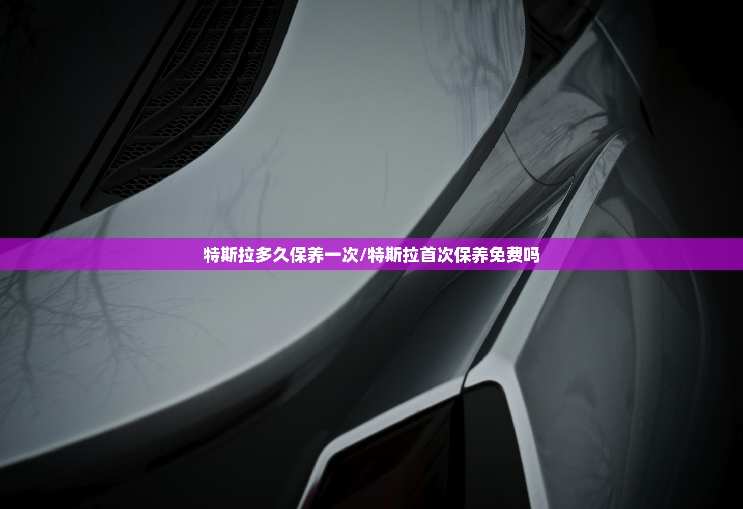 特斯拉多久保养一次/特斯拉首次保养免费吗 特斯拉多久保养一次/特斯拉首次保养免费吗