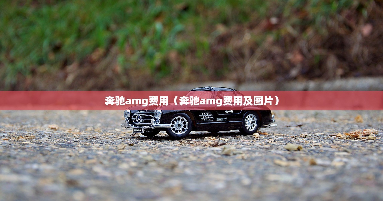 奔驰amg费用（奔驰amg费用及图片）