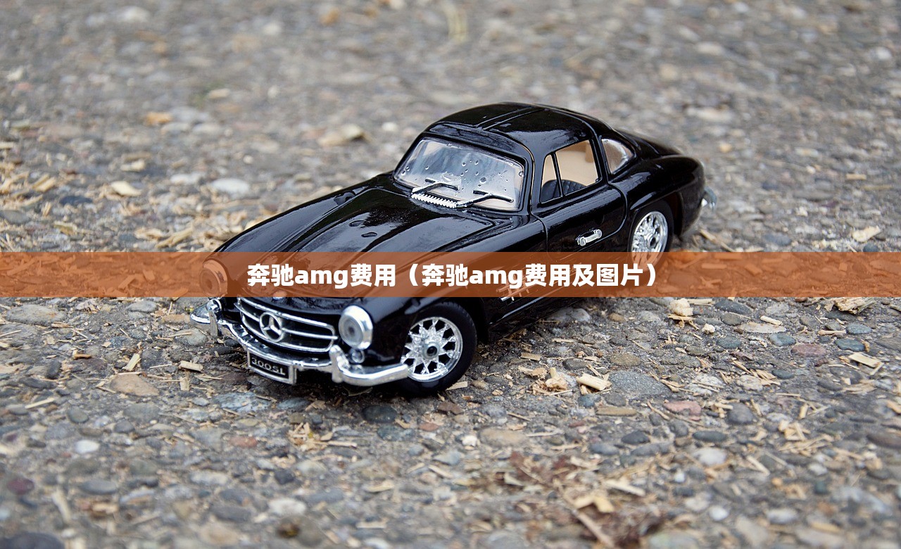奔驰amg费用（奔驰amg费用及图片）