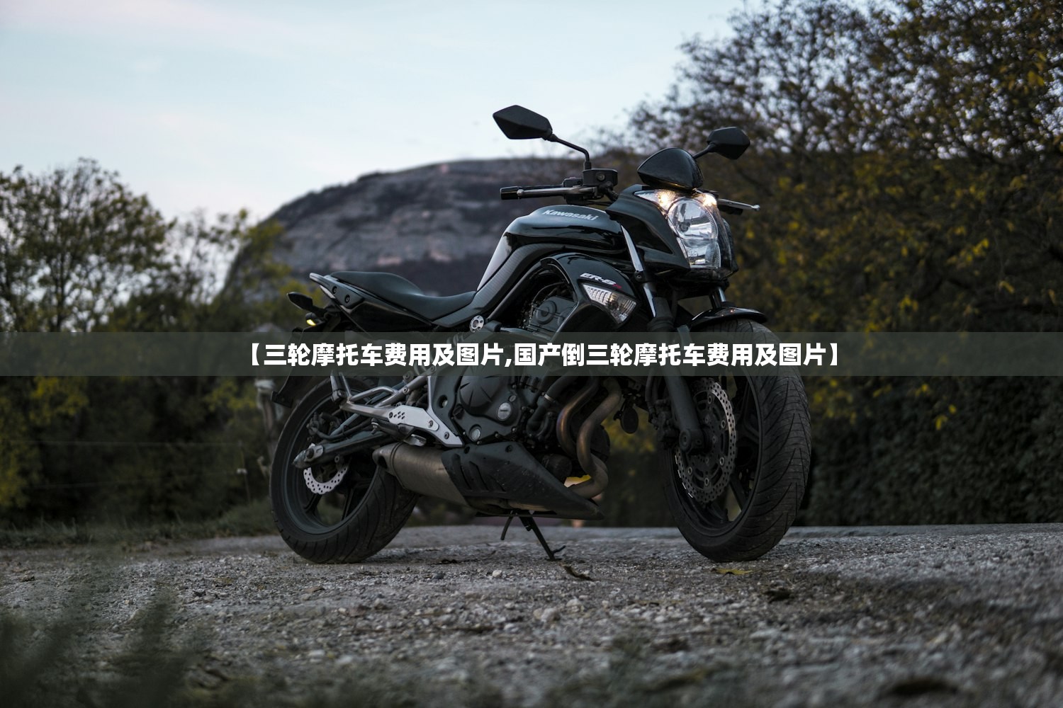 【三轮摩托车费用及图片,国产倒三轮摩托车费用及图片】