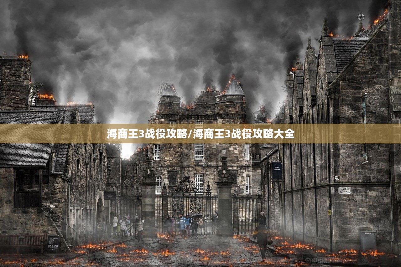 海商王3战役攻略/海商王3战役攻略大全