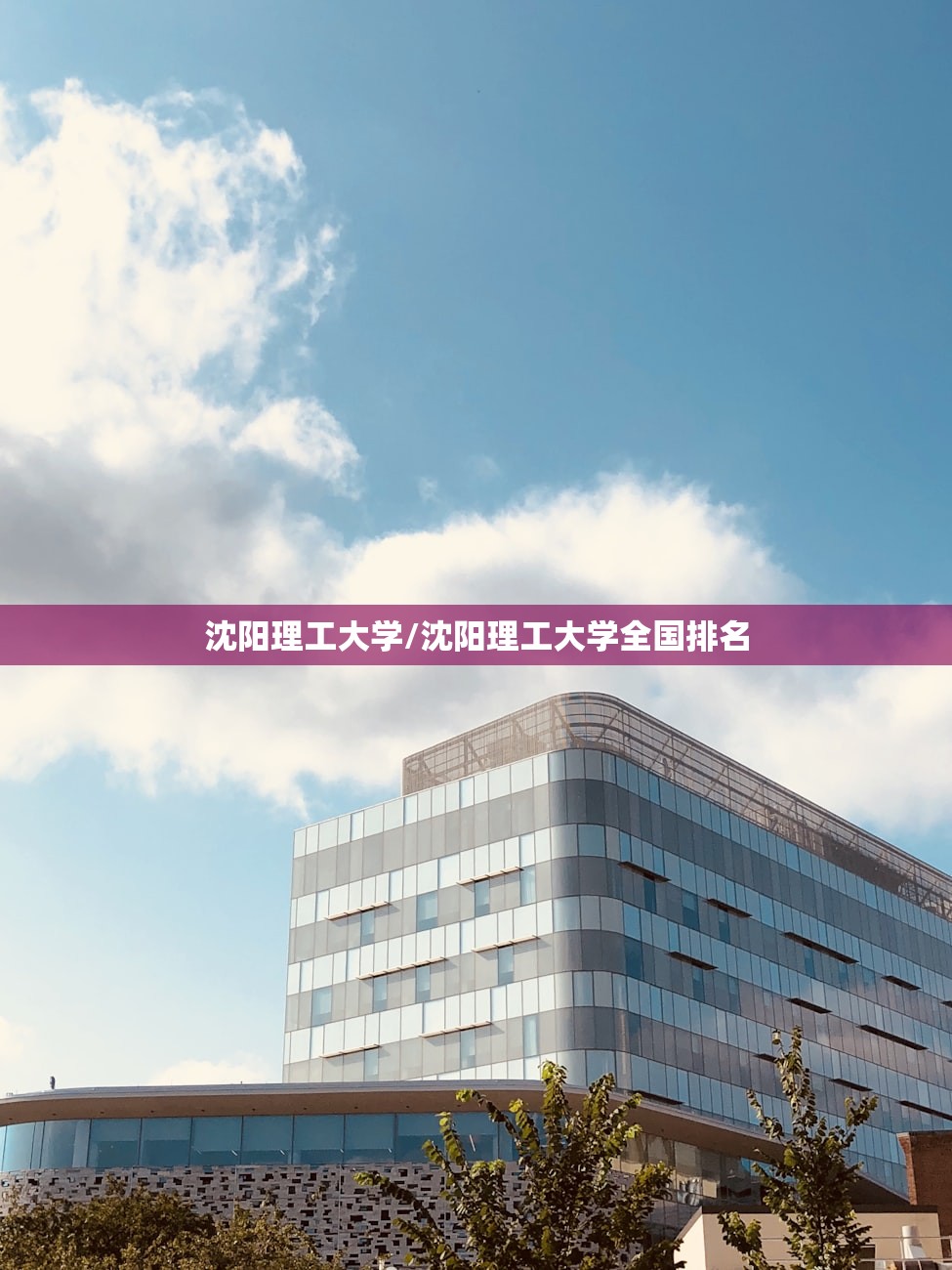 沈阳理工大学/沈阳理工大学全国排名