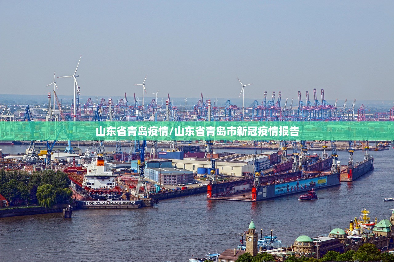 山东省青岛疫情/山东省青岛市新冠疫情报告