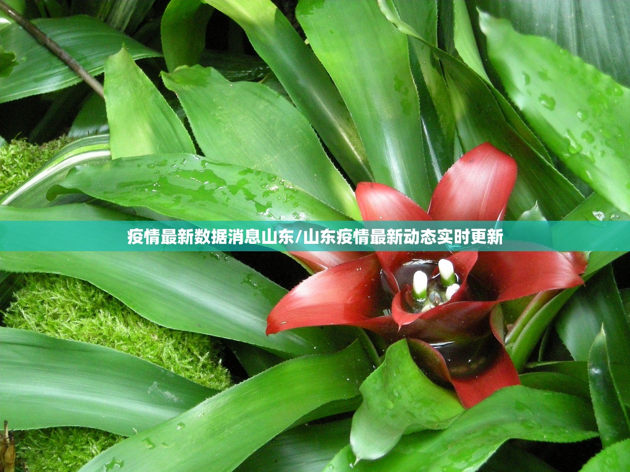 北京顺义新增1例无症状（北京顺义新增一例确诊）