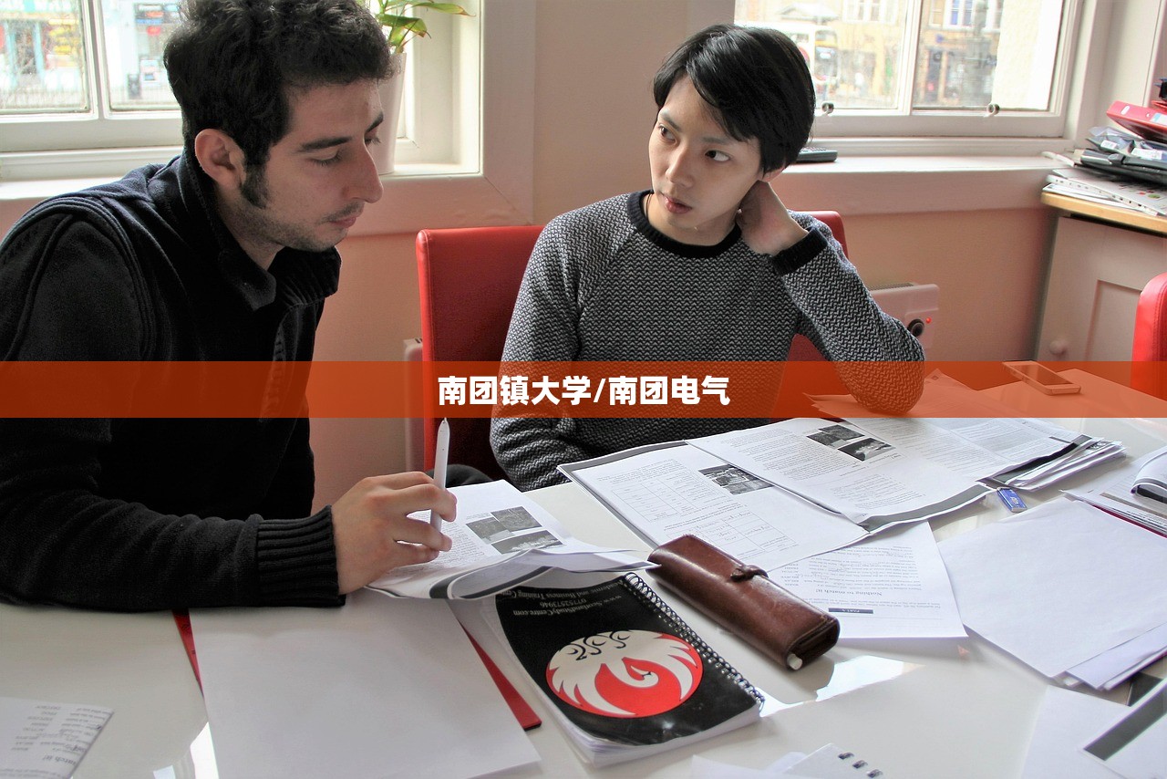 南团镇大学/南团电气 南团镇大学/南团电气