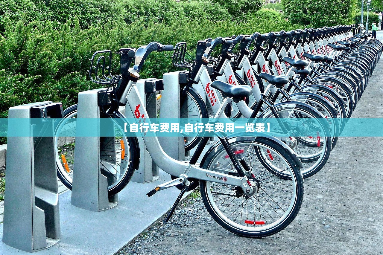 【自行车费用,自行车费用一览表】