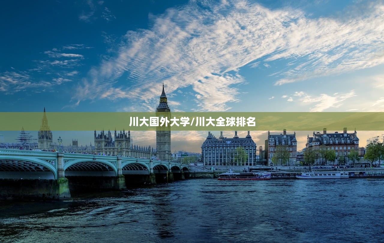 川大国外大学/川大全球排名