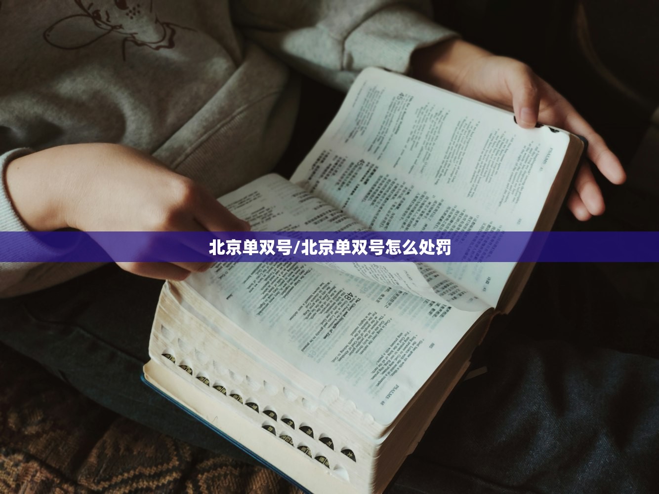 北京单双号/北京单双号怎么处罚