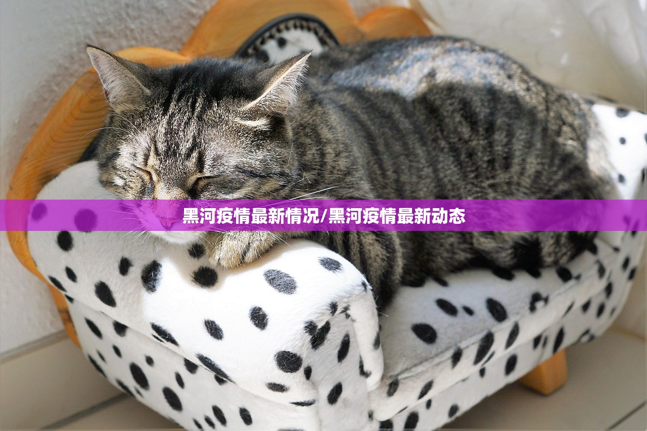 黑河疫情最新情况/黑河疫情最新动态