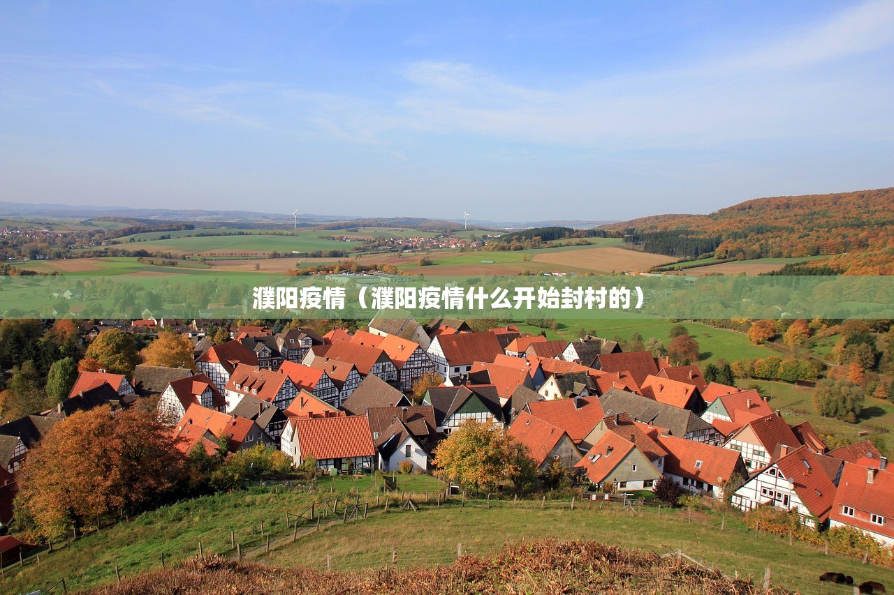 濮阳疫情（濮阳疫情什么开始封村的）