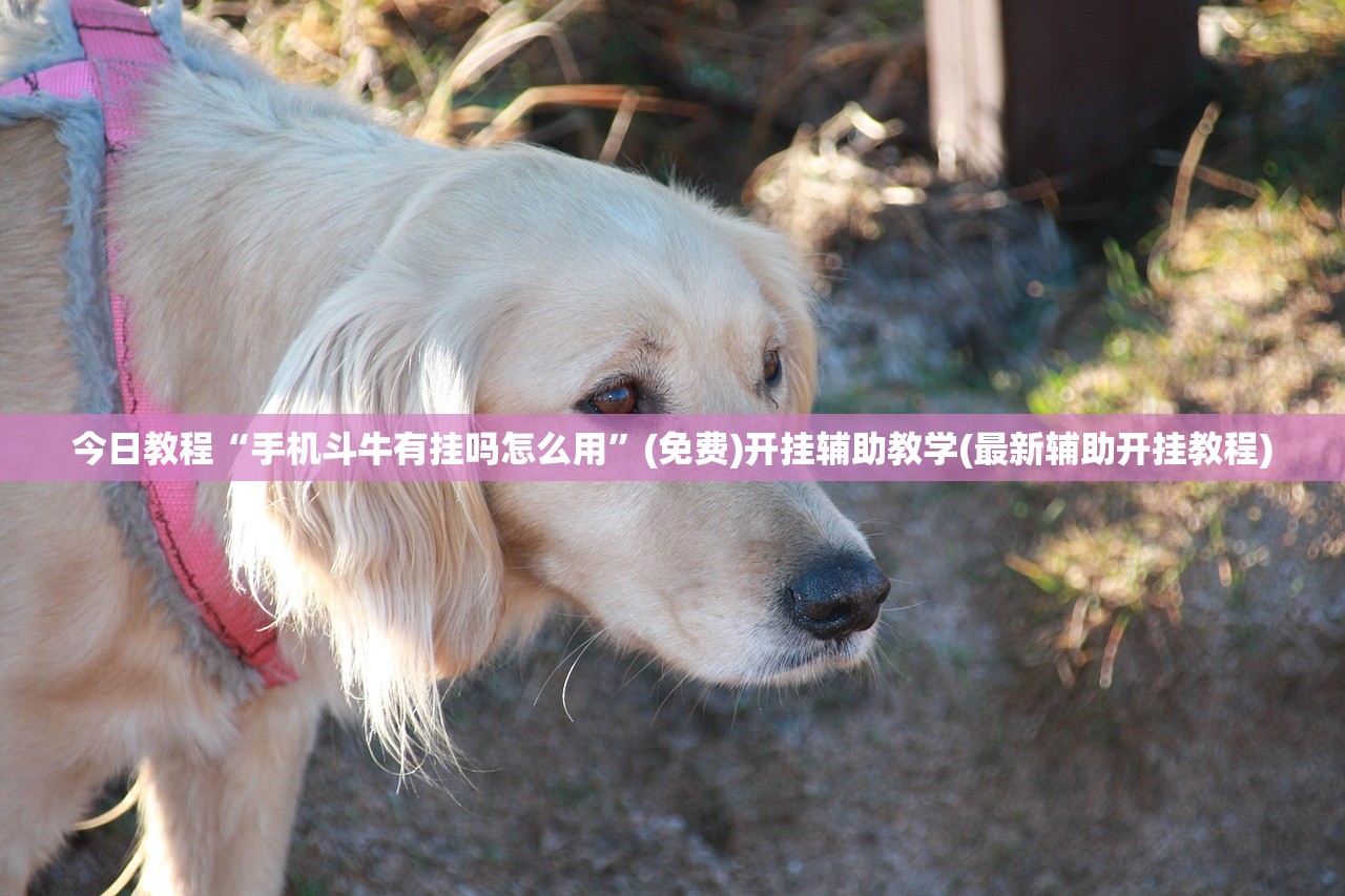 今天最新疫情公布（今曰最新疫情通报）