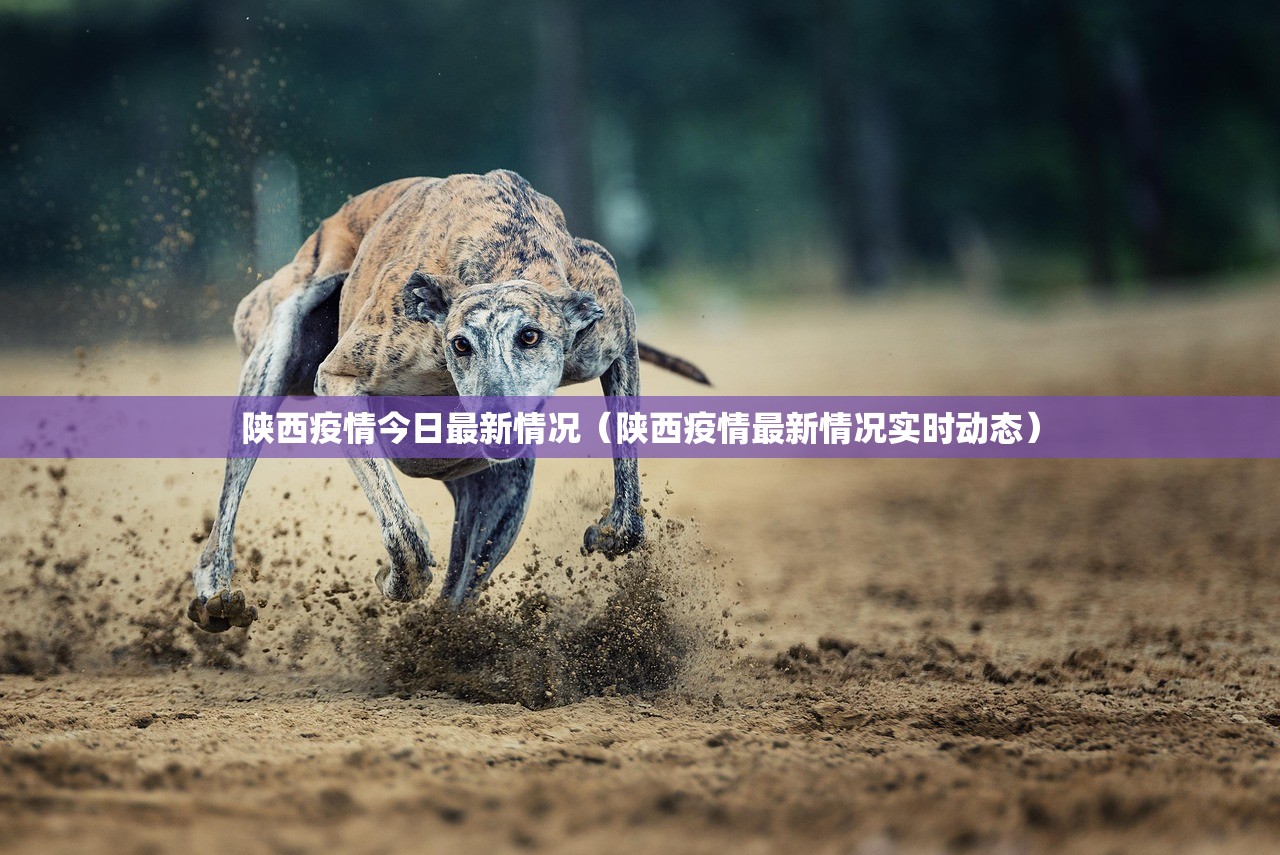 陕西疫情今日最新情况（陕西疫情最新情况实时动态）