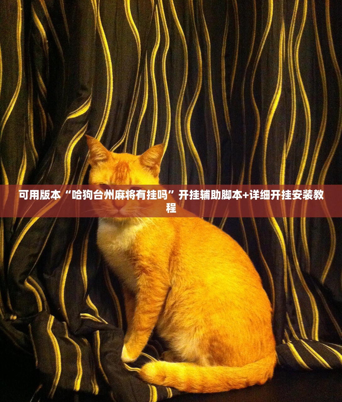 可用版本“微乐安徽麻将有没有挂”详细分享装挂步骤
