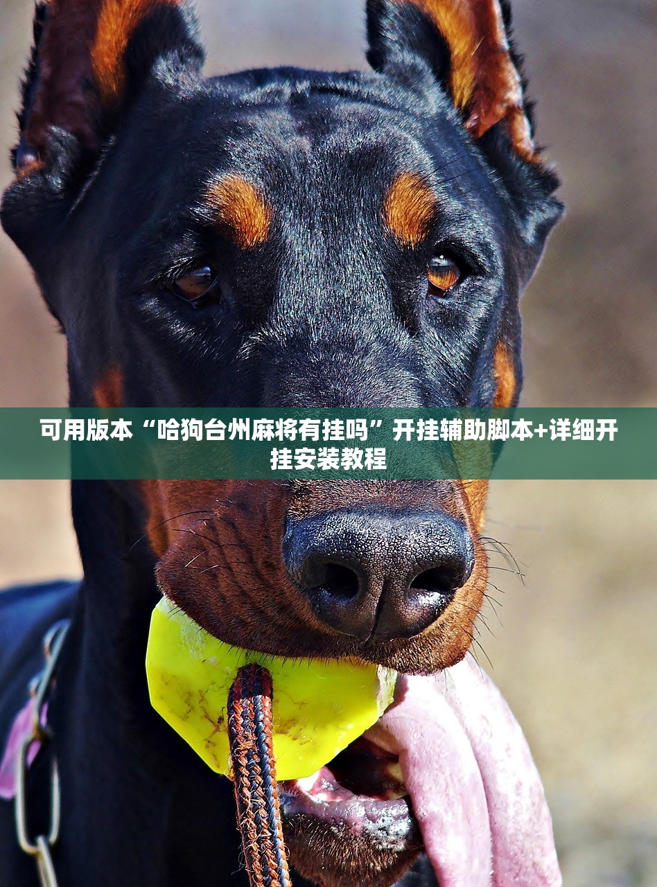 可用版本“哈狗台州麻将有挂吗	”开挂辅助脚本+详细开挂安装教程