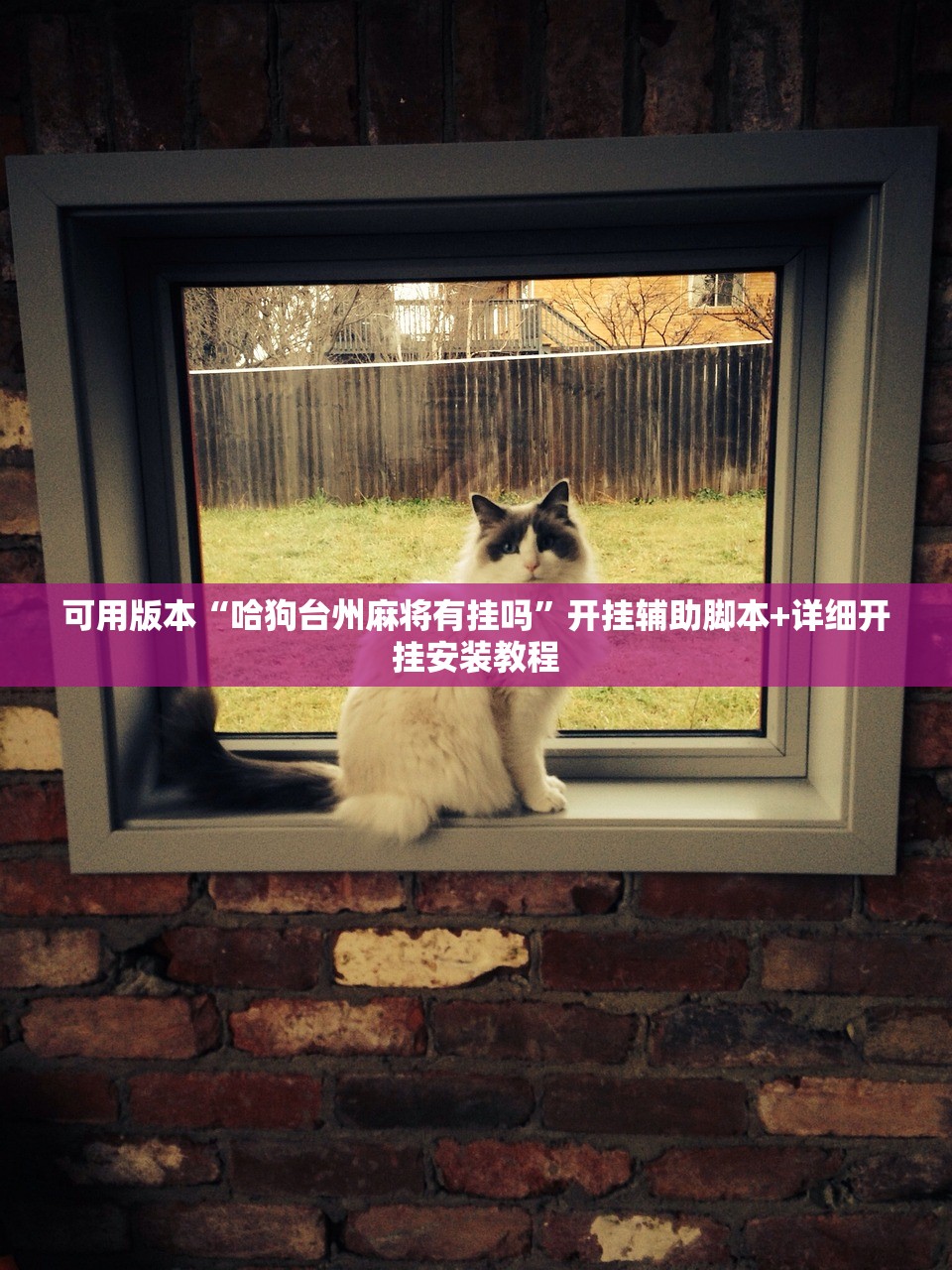 可用版本“哈狗台州麻将有挂吗”开挂辅助脚本+详细开挂安装教程