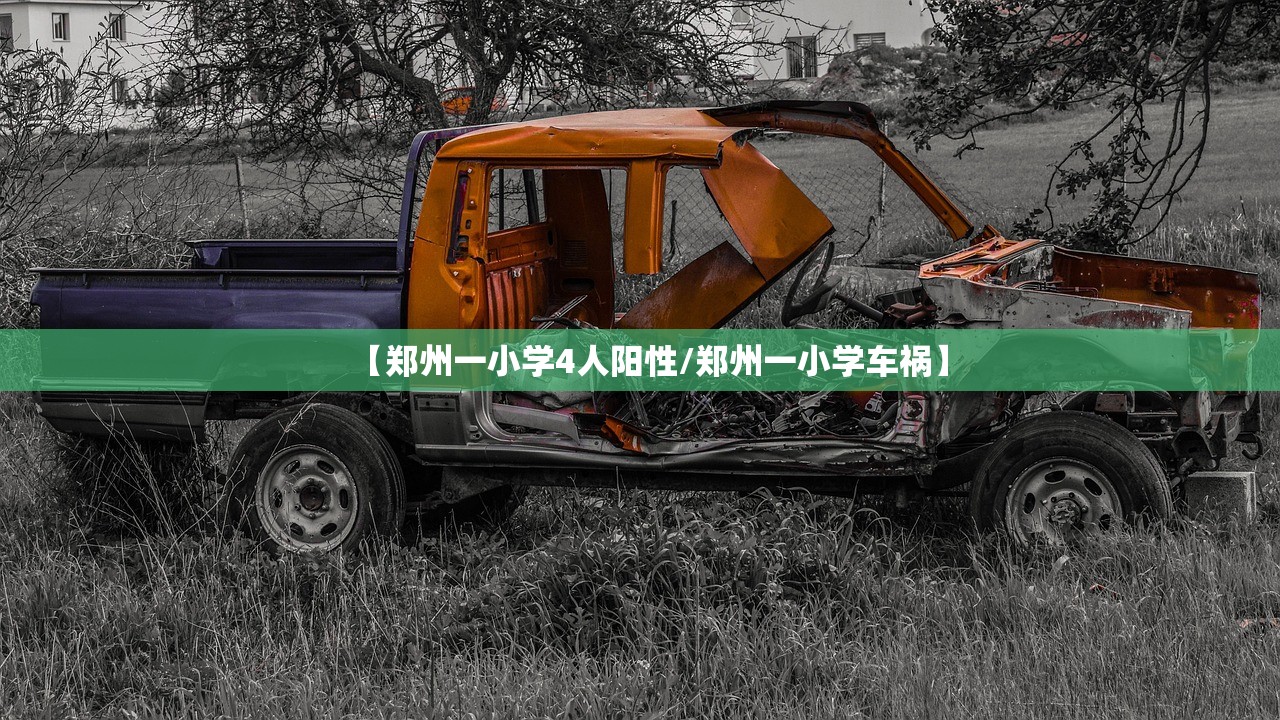 【郑州一小学4人阳性/郑州一小学车祸】