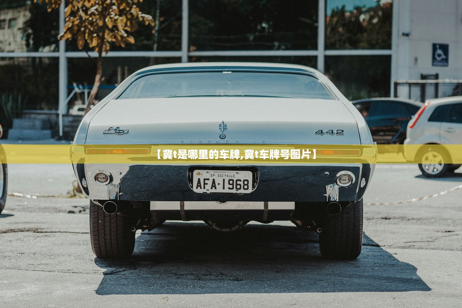 【冀t是哪里的车牌,冀t车牌号图片】 【冀t是哪里的车牌,冀t车牌号图片】